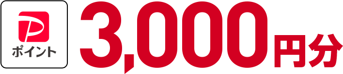 PayPayポイント 3,000円分