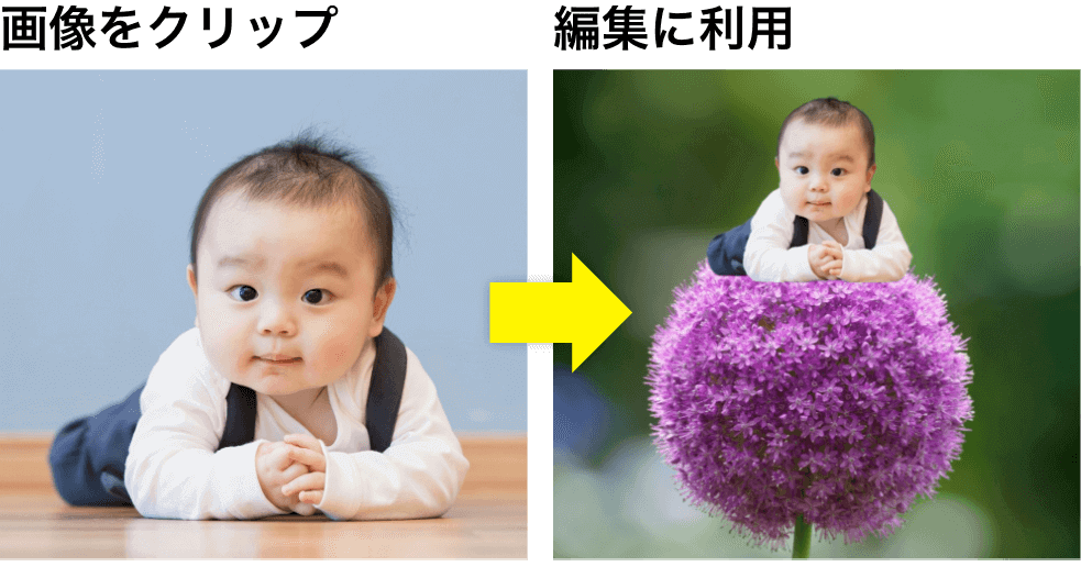 画像をクリップ⇒編集に利用