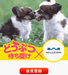 画面イメージ