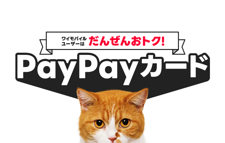 ワイモバイルユーザーはだんぜんおトク！PayPayカード