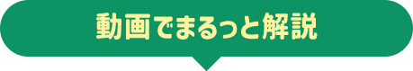 動画でまるっと解説